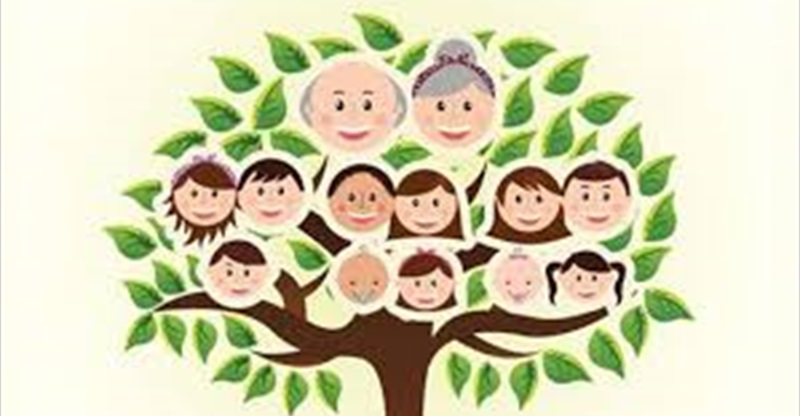 Yasal Mirasçılık Nedir?