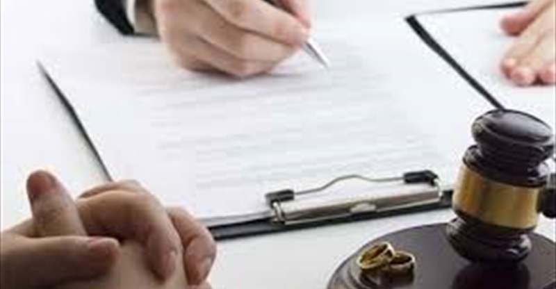 Edinilmiş Mallara Katılma Rejiminde Eşlerin Şirket Hisselerinin Mal Tasfiyesindeki Durumu